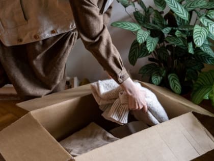 Домашние вампиры: шесть вещей в доме, которые крадут ваше здоровье день за днем