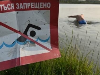 Купальный сезон закрыт. Вода на пруду птицефабрики не прошла проверку Роспотребнадзора