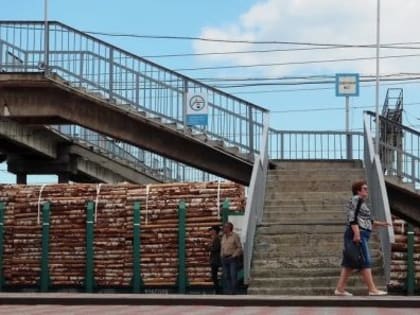 В федеральном издании "Коммерсантъ" вышла статья, посвященная лесной тематике