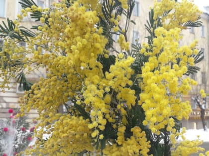 Изменяется время приема документов