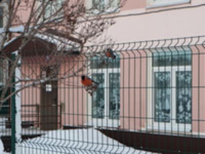 В четверг в Кирове выпадет снег с дождём