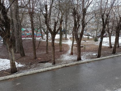 Днем в Кирове обещают плюсовую температуру