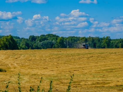 Депутаты-аграрии о поддержке сельхозпредприятий: мнения