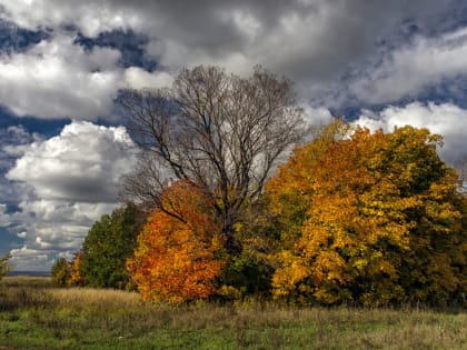 И снова до +20