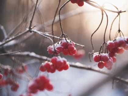 Днем — плюсовая температура