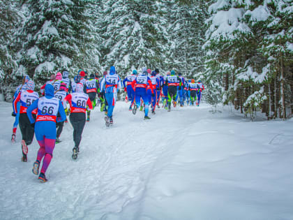 В Кировской области состоятся соревнования по триатлону