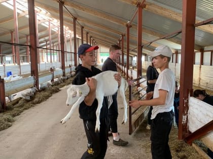 В Кировской области в свободное время работали более 8 тысяч подростков&nbsp;