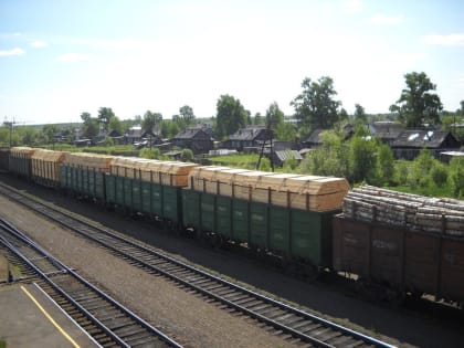 Больше всего лесопродукции из Кировской области экспортировали в Китай