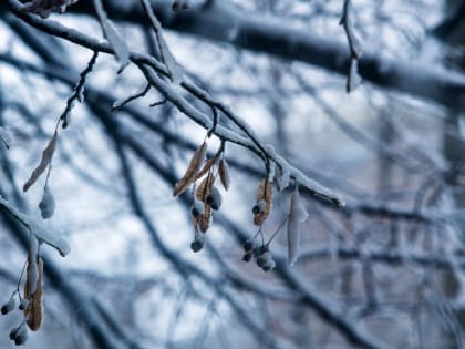 Небольшой снег