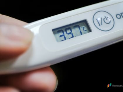 Рост заболеваемости ОРВИ и гриппом в Кировской области