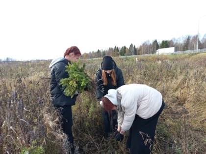 В Кирове формируется сообщество волонтеров леса