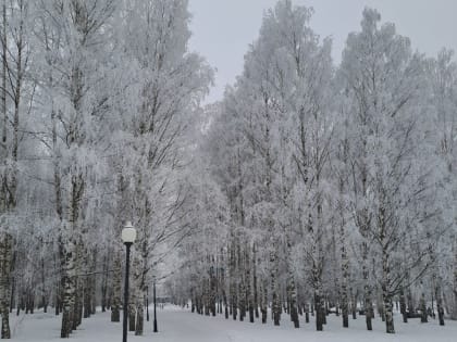 Зимняя прохлада сохранится в течение всей рабочей недели