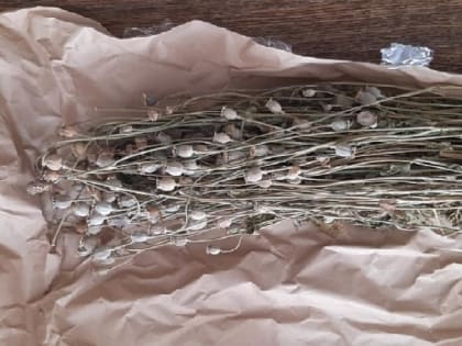 В Кировской области осужден 31-летний житель Арбажа за хранение мака