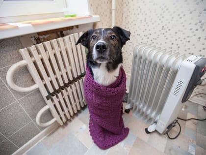 Кировчане могут пожаловаться на холодные батареи по телефону 122