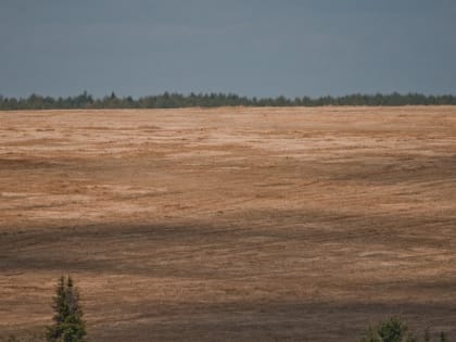 По факту мошенничества на 3 млн с грантом «Агростартап» возбуждено уголовное дело