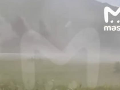 Два пассажира, которых считали погибшими после крушения вертолёта на Алтае, оказались живы