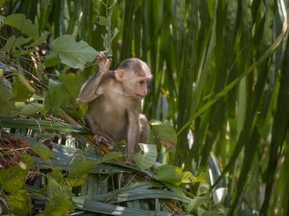 Новые инициативы по улучшению здравоохранения в стране