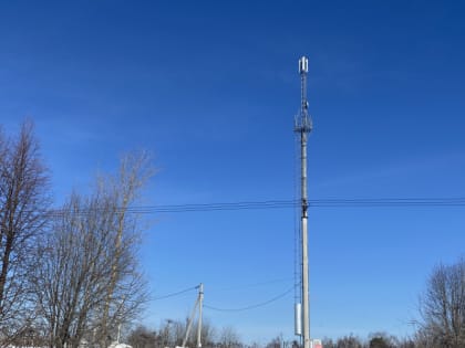 Жителей области приглашают оценить качество оказываемых услуг связи