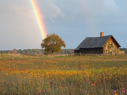 Переезд в деревни как способ повышения рождаемости в России