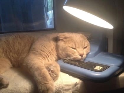 В администрации Кирово-Чепецка рассказали, в каких домах отключат электричество 7 февраля