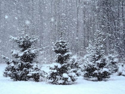 Снегопады продолжаются