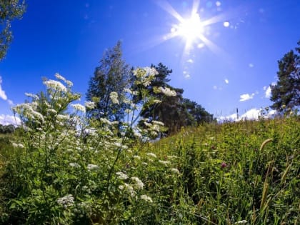 Жара усилится