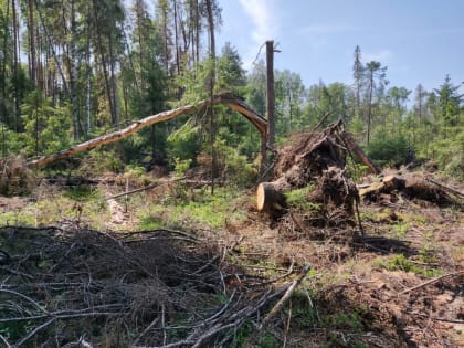 Новые инициативы в области здравоохранения Петербурга