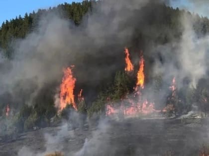 МЧС предупреждает жителей Кировской области о высокой пожарной опасности