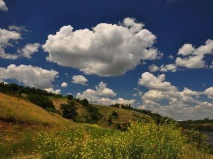 Лето, ты прекрасно