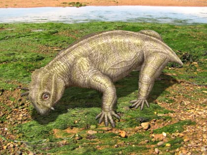 Вятские аномодонты едут на выставку в Дарвиновский музей