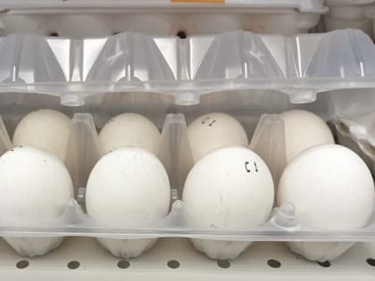 Экономист Ольга Лебединская рассказала о тенденциях цен на продукты