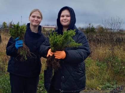 В Омутнинске высадили первые сеянцы ели