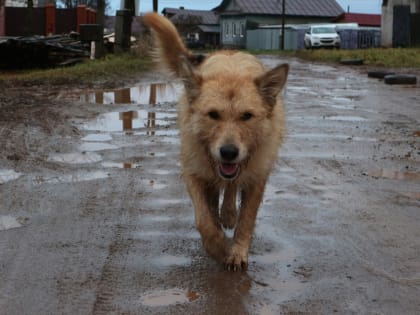 Тайны древнего города: Археологические находки в центре внимания