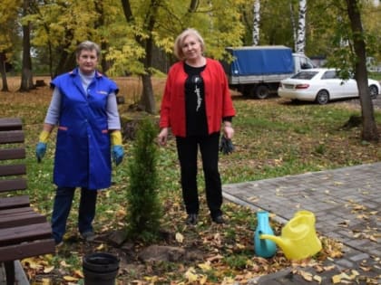 В Кирове сквер на улице Павла Корчагина озеленили и благоустроили