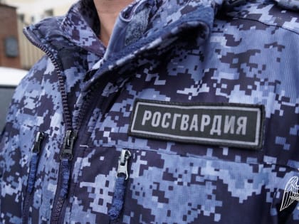 В Кирове задержали мужчин, которые при виде росгвардейцев решили изменить траекторию своего движения