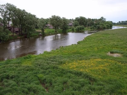 Родительский патруль – добровольное объединение граждан из числа родителей (законных представителей), дети которых обучаются в общеобразовательной организации