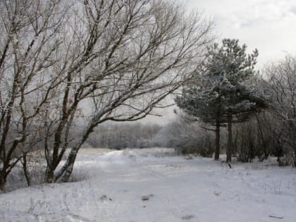 Весна идет, весне дорогу!