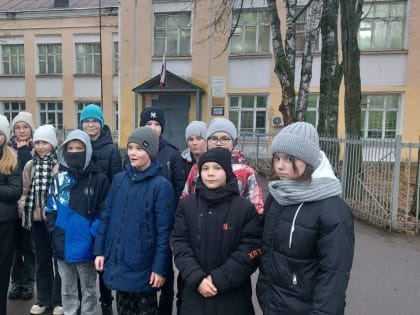 Практика лесного волонтерства