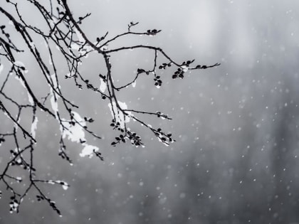 Тепло и мокрый снег