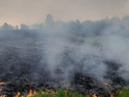 В Кировской области из-за непогоды в нескольких районах нарушилось электроснабжение