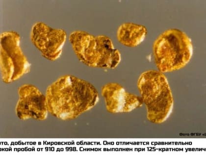 Омутнинское золото: мыть или не мыть?