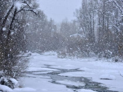 Становится все теплее