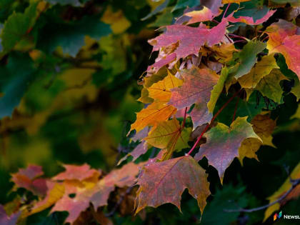 Известен прогноз погоды на 26-30 сентября