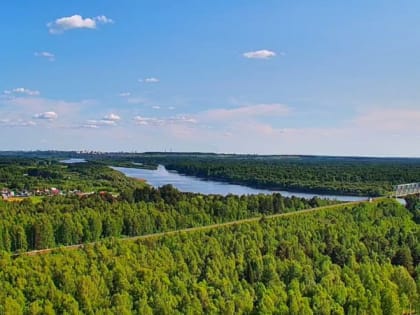 Противопожарное видеонаблюдение поможет сберечь леса в Кировской области