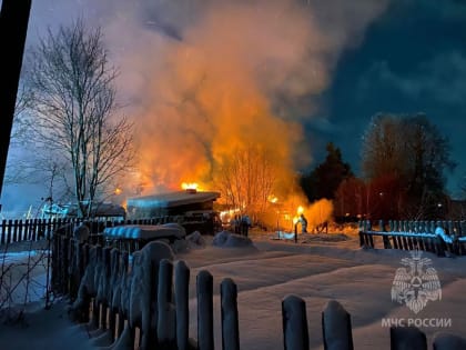 В Омутнинске в результате пожара погибла женщина