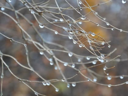 Небольшое похолодание