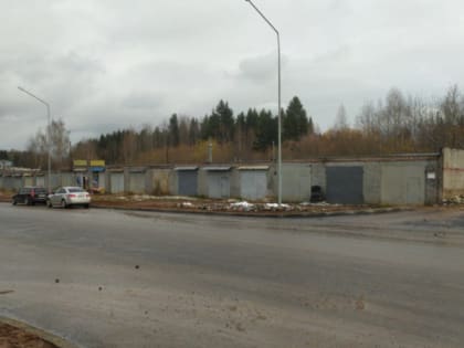 Мэрия Кирово-Чепецка сносит гаражи и овощные ямы местных жителей