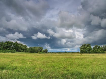 Возможен кратковременный дождь