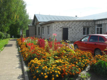 Руководство кирово-чепецкой ЦРБ выехало в "поля"