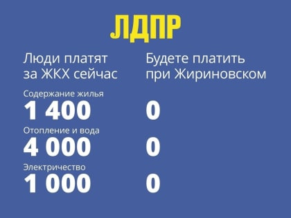 Владимир Жириновский: требую сделать электроэнергию бесплатной для жителей России!